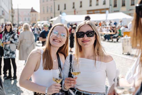 Festival vína VOC Znojmo